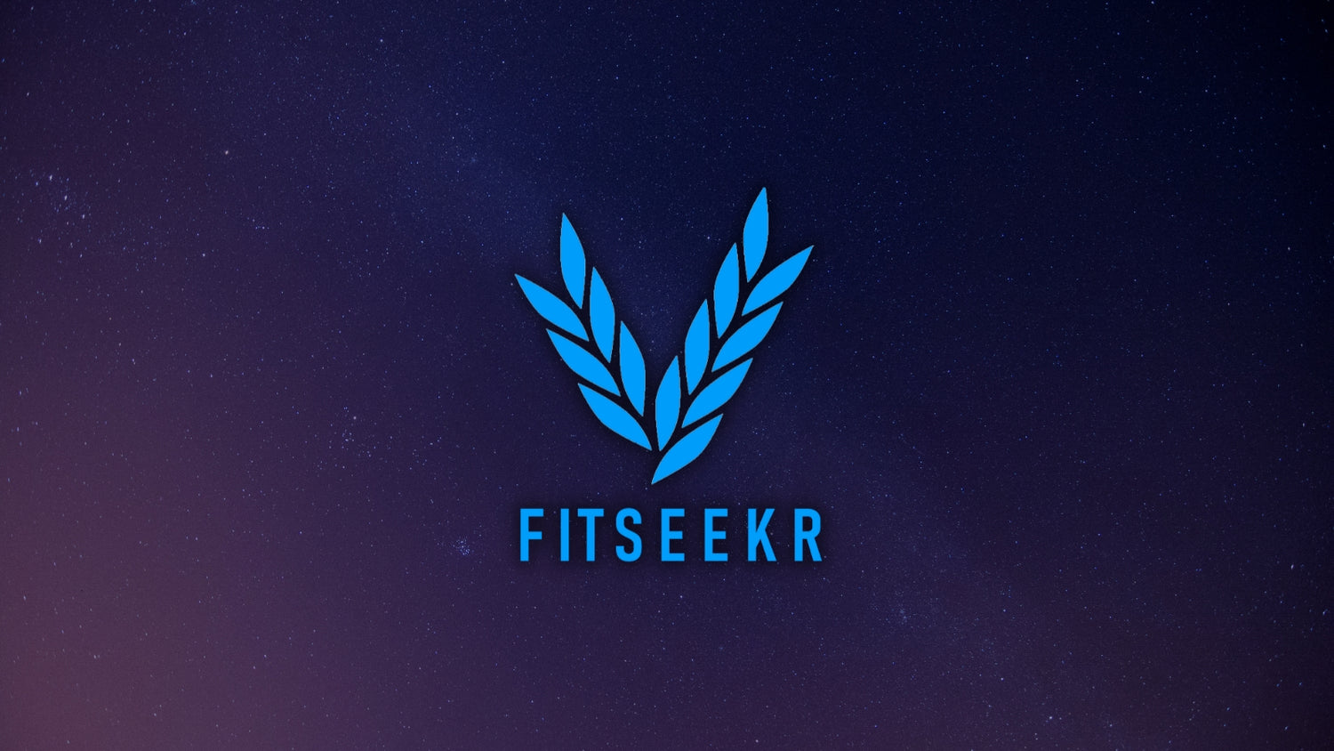 Introduction to fitseekr blog post cover image